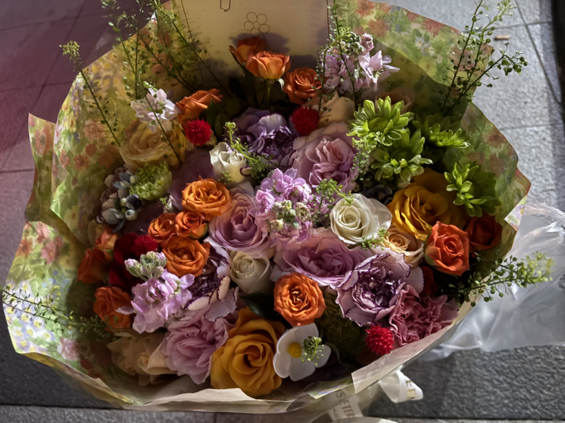 南香香 南香香